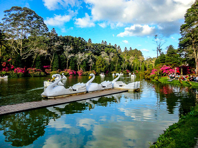 Aluguel de Carro em Gramado